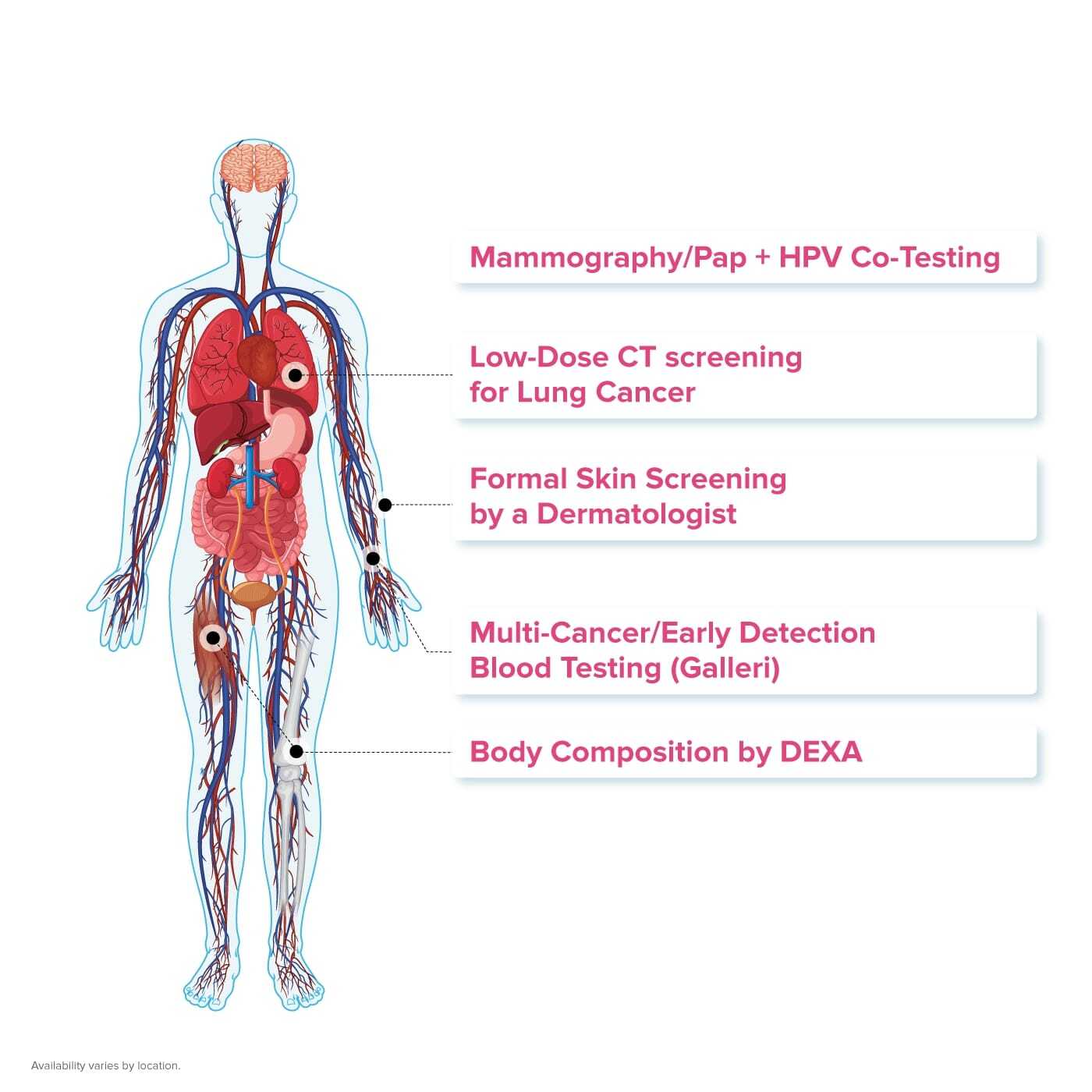 Image of human body depicting tests available for cancer during PartnerMD executive physicals