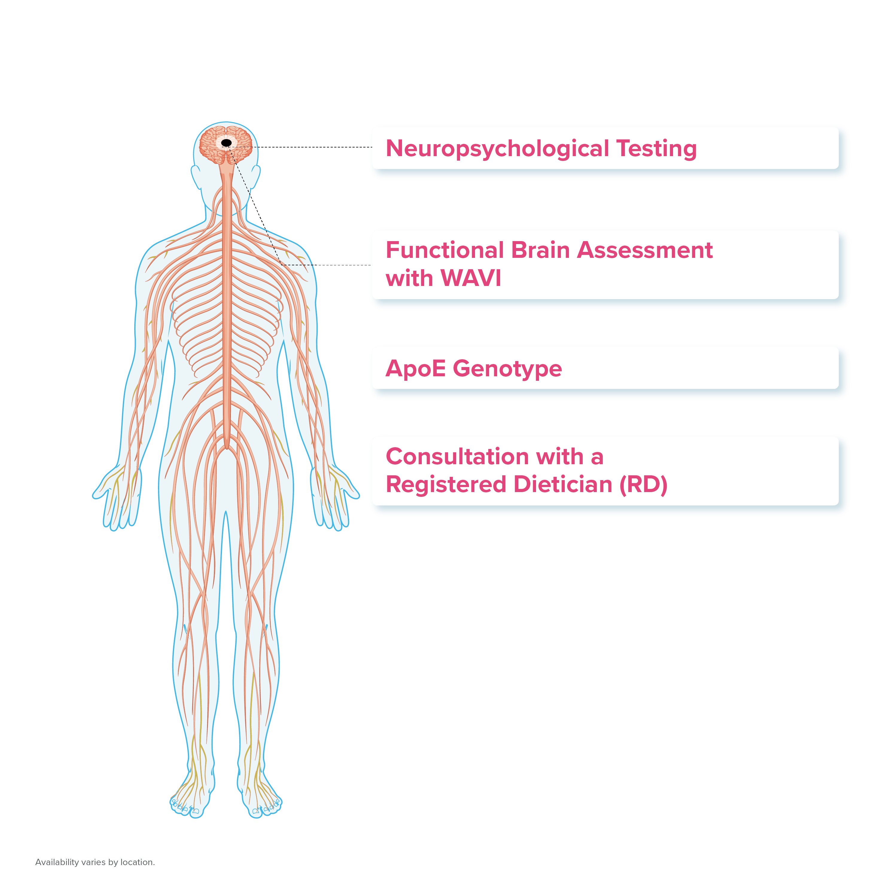 Image of human body with list of tests available for neurodegenerative executive physicals at PartnerMD