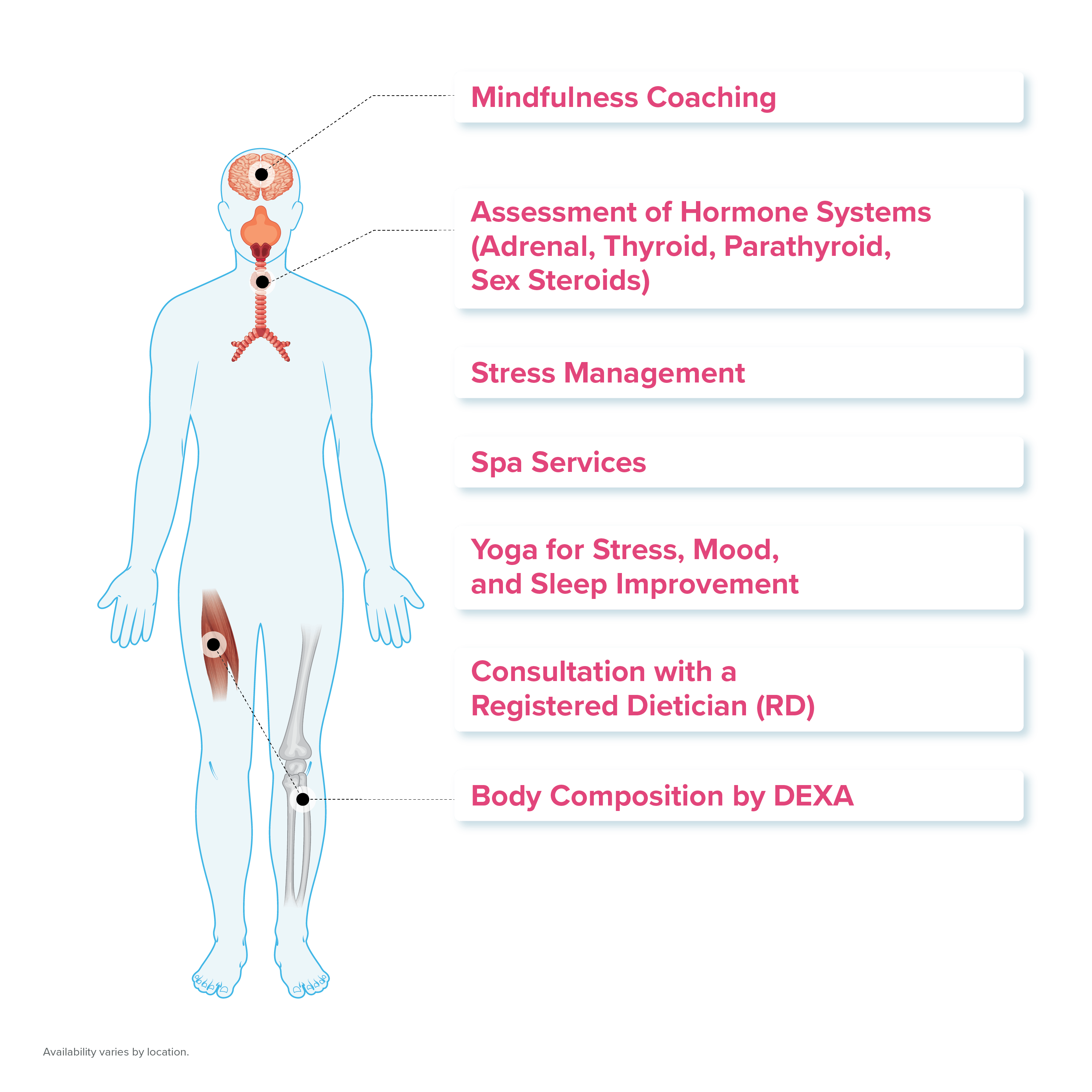 Human body graphic with tests for stress, mood, and sleep during PartnerMD executive physical