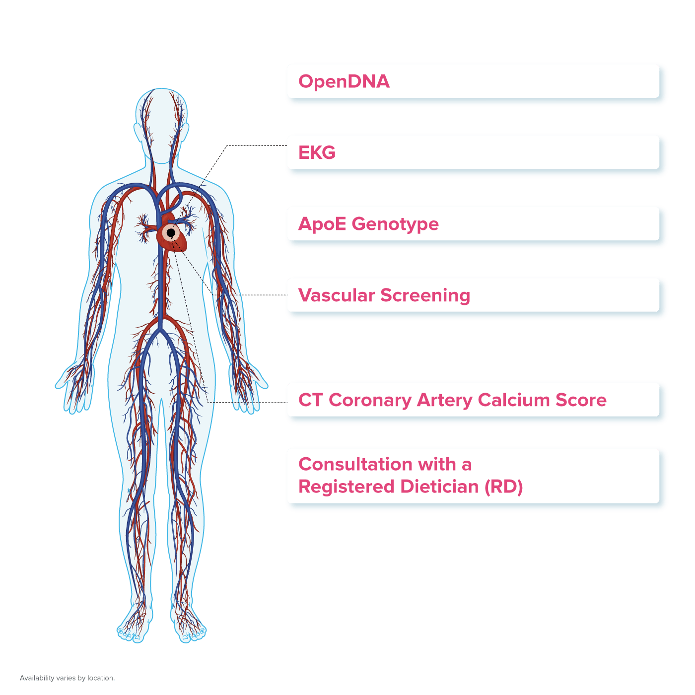 Image of human body with PartnerMD's cardio tests